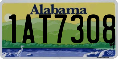 AL license plate 1AT7308