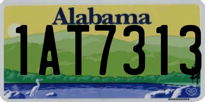 AL license plate 1AT7313