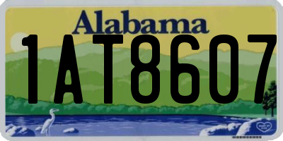 AL license plate 1AT8607
