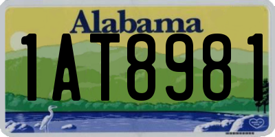 AL license plate 1AT8981