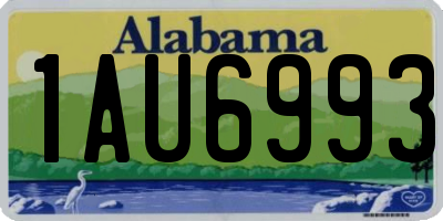 AL license plate 1AU6993