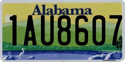 AL license plate 1AU8607