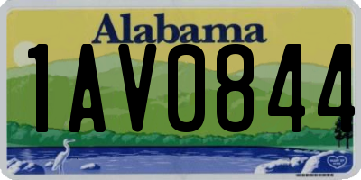 AL license plate 1AV0844