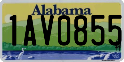 AL license plate 1AV0855