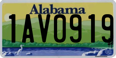 AL license plate 1AV0919
