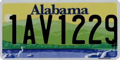 AL license plate 1AV1229