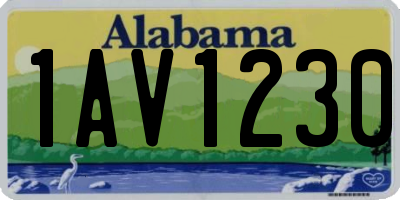 AL license plate 1AV1230