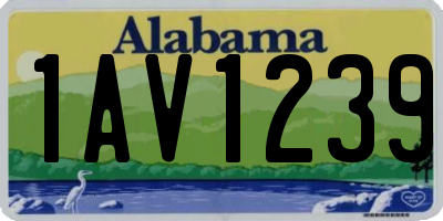 AL license plate 1AV1239