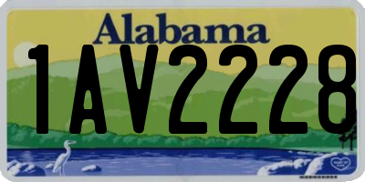 AL license plate 1AV2228
