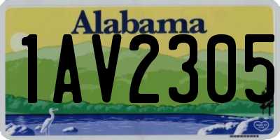AL license plate 1AV2305