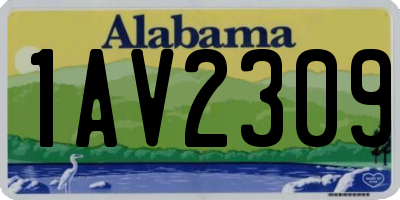 AL license plate 1AV2309