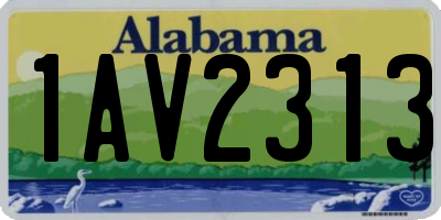 AL license plate 1AV2313