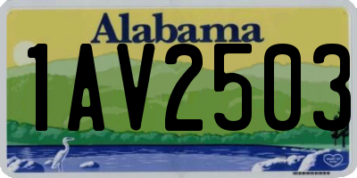 AL license plate 1AV2503