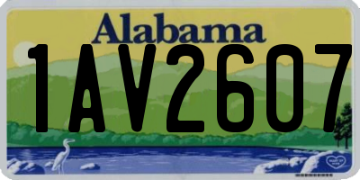 AL license plate 1AV2607