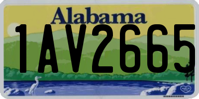 AL license plate 1AV2665