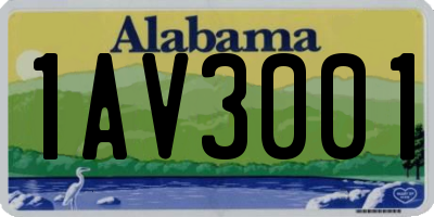 AL license plate 1AV3001