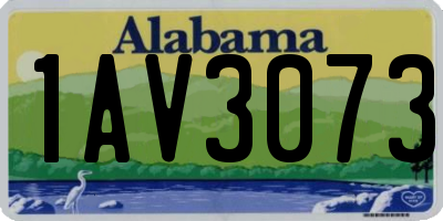 AL license plate 1AV3073