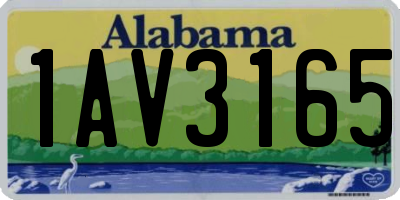 AL license plate 1AV3165