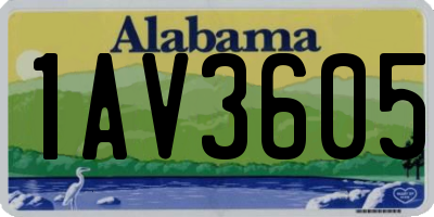 AL license plate 1AV3605