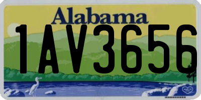 AL license plate 1AV3656