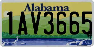 AL license plate 1AV3665