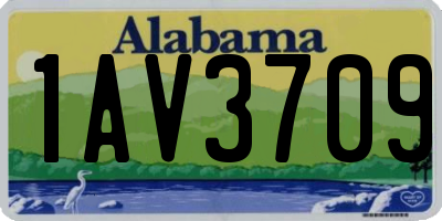 AL license plate 1AV3709