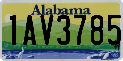 AL license plate 1AV3785