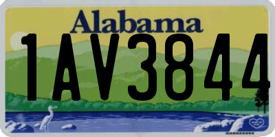 AL license plate 1AV3844
