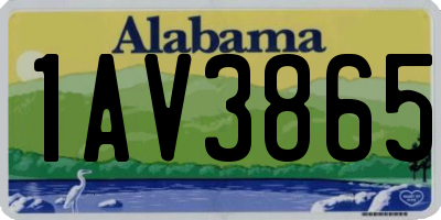 AL license plate 1AV3865