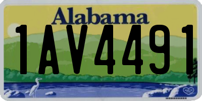 AL license plate 1AV4491