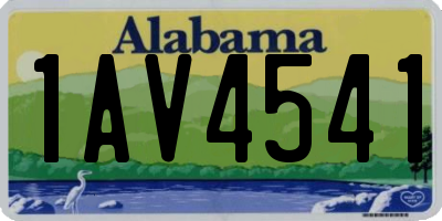 AL license plate 1AV4541
