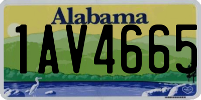 AL license plate 1AV4665