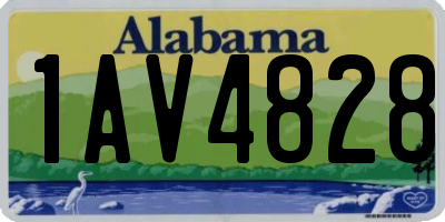AL license plate 1AV4828