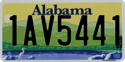 AL license plate 1AV5441