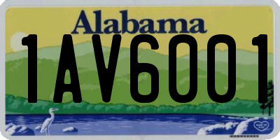 AL license plate 1AV6001