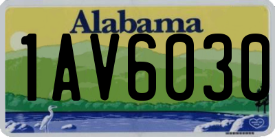 AL license plate 1AV6030