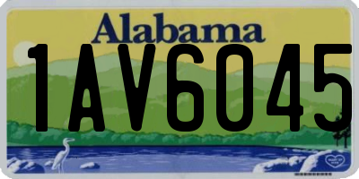 AL license plate 1AV6045