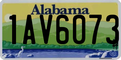 AL license plate 1AV6073