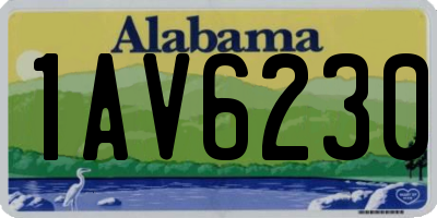 AL license plate 1AV6230