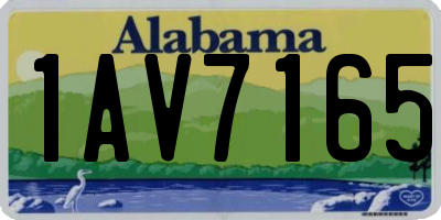 AL license plate 1AV7165