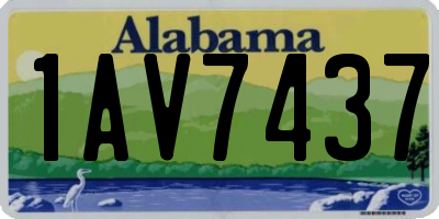 AL license plate 1AV7437