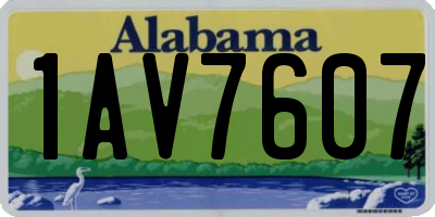 AL license plate 1AV7607