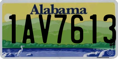 AL license plate 1AV7613