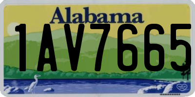AL license plate 1AV7665