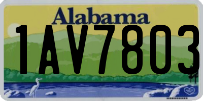 AL license plate 1AV7803