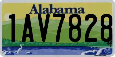 AL license plate 1AV7828