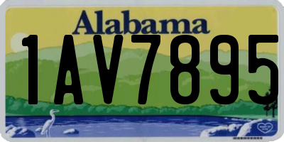 AL license plate 1AV7895