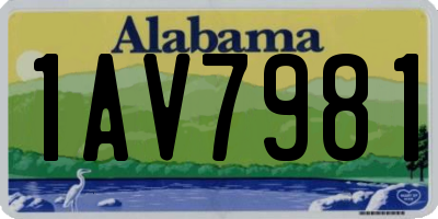 AL license plate 1AV7981