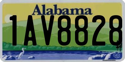 AL license plate 1AV8828