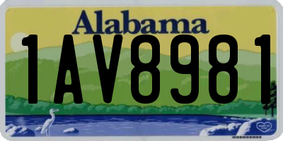 AL license plate 1AV8981